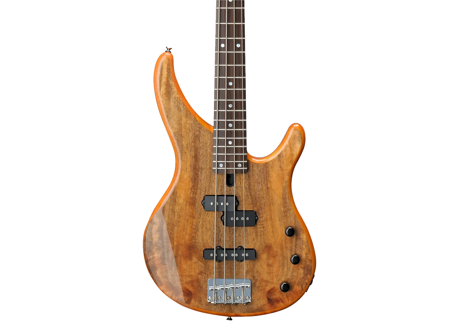 One of the best budget beginner basses for 2024